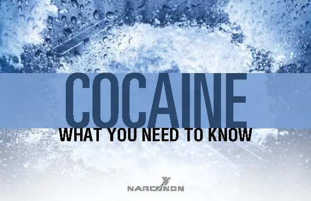 Cocaine drug education booklet cover – What You Need to Know – Narconon Europe
