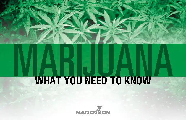 Marijuana drug education booklet cover – What You Need to Know – Narconon Europe